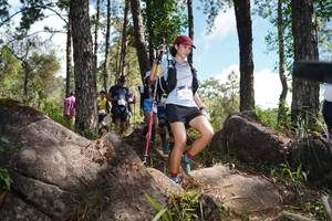 BIB: 
                            <button type="button" onclick="openModal(18946939)" class="btn btn-primary btn-sm float-right btn-popup" data-toggle="modal" data-target=".modal-high-quality">
                        <i class="fas fa-shopping-cart"></i> Add to Cart
                    </button>
                                            <button type="button" onclick="isThisMe(18946939, true)" class="btn btn-success btn-sm float-right btn-popup btn-isme hidden" data-toggle="tooltip" data-placement="bottom" title="นี่คือรูปของคุณใช่ไหม คลิกที่นี่เพื่อเอาเข้าอัลบั้ม">
                        <i class="fas fa-plus"></i> Add to album
                    </button>
                    <button type="button" onclick="isThisMe(18946939, false)" class="btn btn-warning btn-sm float-right btn-popup btn-isnotme hidden">
                        <i class="fas fa-ban"></i> Remove from album
                    </button>